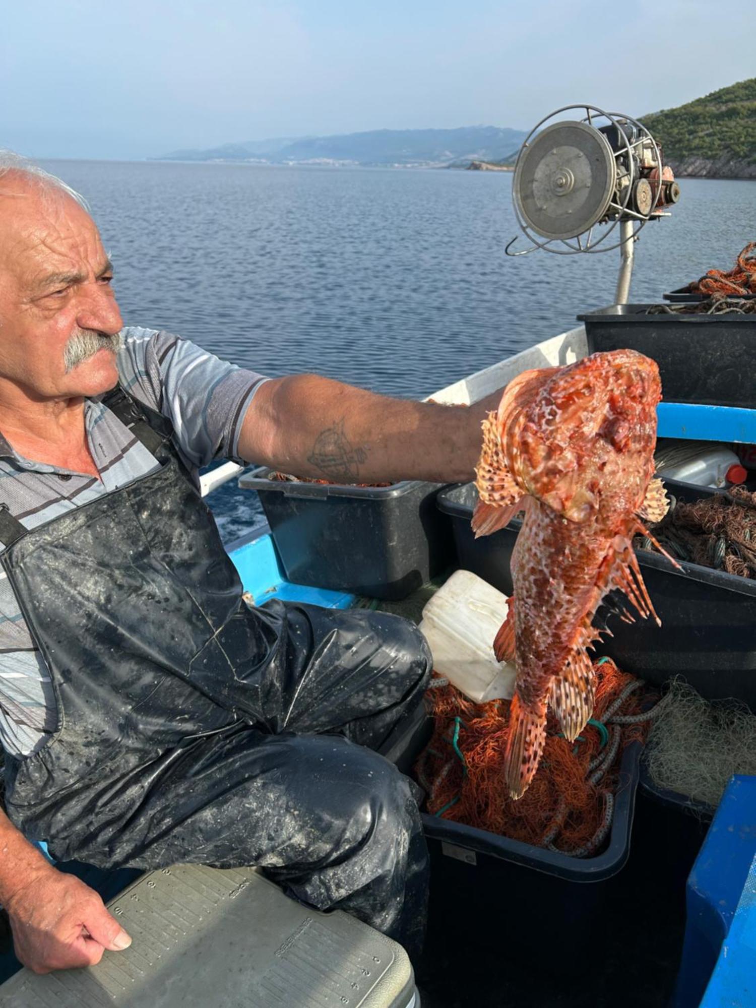 Villa Haus Niko Senj  Buitenkant foto