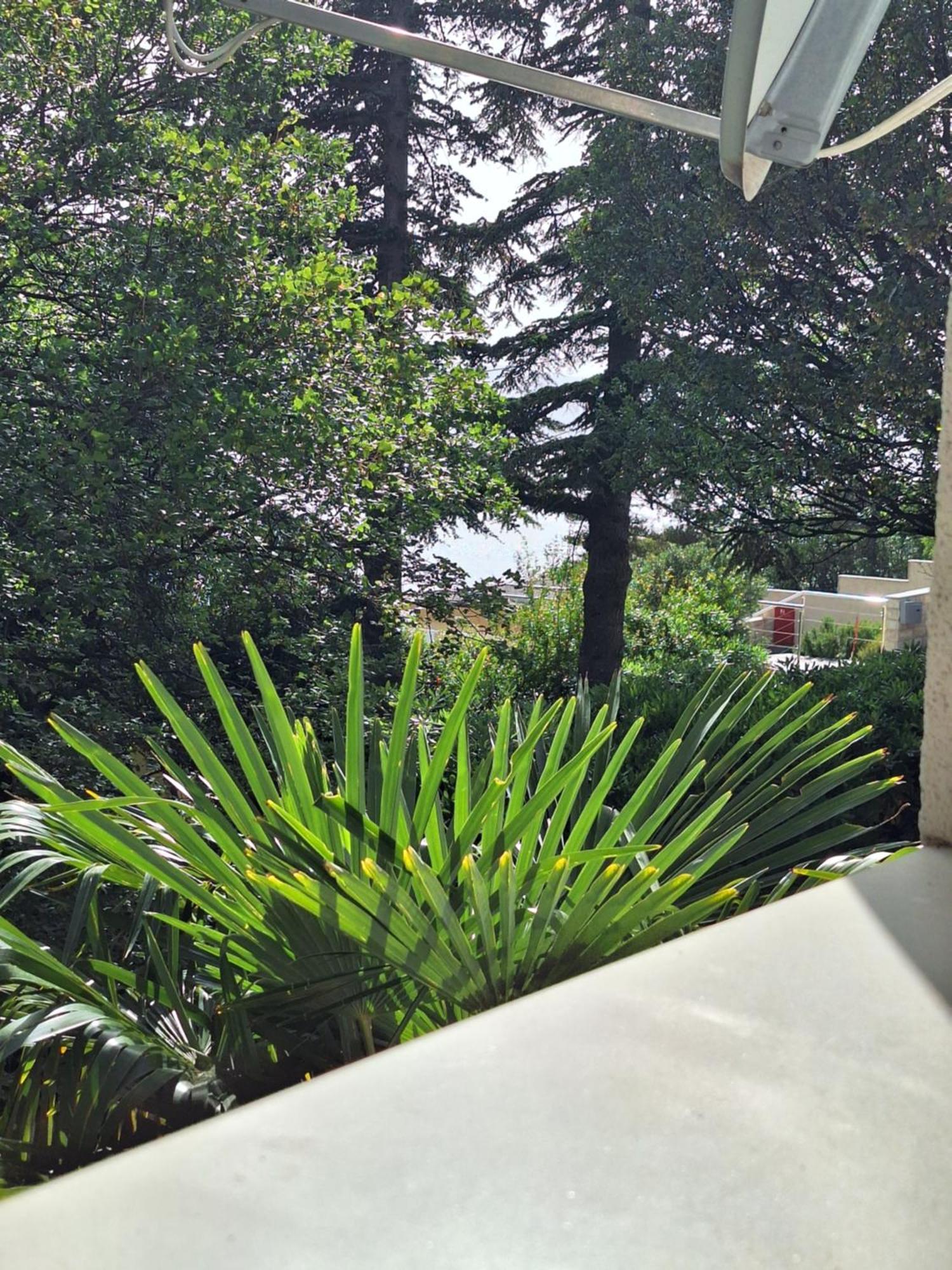 Villa Haus Niko Senj  Buitenkant foto